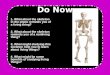 Do Now 1. What about the skeleton in the photo reminds you of a living thing? 2. What about the skeleton reminds you of a nonliving thing? 3. What might