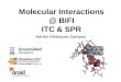Molecular Interactions @ BIFI ITC & SPR Adrián Velázquez Campoy