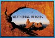WEATHERING and EROSION WEATHERING: The processes at or near the Earth’s surface that can cause rocks and minerals to break down. There are two types of