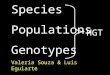 Species Populations Genotypes Valeria Souza & Luis Eguiarte HGT