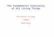 The Fundamental Similarity of All Living Things Microbial Ecology 138023 Oded Beja