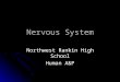 Nervous System Northwest Rankin High School Human A&P