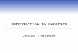 Introduction to Genetics Lecture 1 Overview. Genetics for Statisticians MSc Course Duration: 18Hours, 6 x 3hour sessions Dates: Thursday 23 rd May: 4:30-8:15