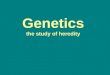 Genetics the study of heredity. Gregor Mendel “Father of Genetics” Heredity -the transfer of characteristics from parents to offspring through their genes