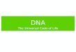 DNA The Universal Code of Life. To which class of biological molecules does DNA belong? What are the monomers of DNA? WORKTOGETHERWORKTOGETHER