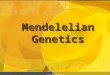 1 Mendelelian Genetics copyright cmassengale A Tale of Two Families copyright cmassengale2 Modes of inheritance are the rules explaining the common patterns
