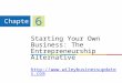 Starting Your Own Business: The Entrepreneurship Alternative   Chapter 6