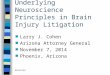 10/11/2015 Underlying Neuroscience Principles in Brain Injury Litigation n Larry J. Cohen n Arizona Attorney General n November 7, 2014 n Phoenix, Arizona