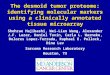 The desmoid tumor proteome: identifying molecular markers using a clinically annotated tissue microarray Shohrae Hajibashi, Wei-Lien Wang, Alexander J.F