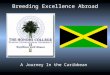 Breeding Excellence Abroad A Journey In the Caribbean This presentation will probably involve audience discussion, which will create action items. Use
