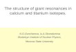 The structure of giant resonances in calcium and titanium isotopes. N.G.Goncharova, Iu.A.Skorodumina Skobelzyn Institute of Nuclear Physics, Moscow State