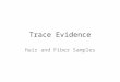 Trace Evidence Hair and Fiber Samples. Trace Evidence Trace evidence is circumstantial evidence It will not point to just one person It can show a certain