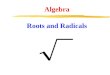 Algebra Roots and Radicals. Radicals (also called roots) are directly related to exponents. Roots and Radicals