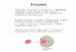 Enzymes important functions of proteins > catalysts (substance that enhances the rate of chemical reaction but is not permanently altered by the reaction)