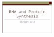 RNA and Protein Synthesis Section 12-3. Objectives for this section  Compare and contrast DNA and RNA  Name the 3 main types of RNA  Describe transcription