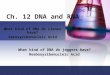 Ch. 12 DNA and RNA What kind of DNA do clones have? Xeroxyribonucleic Acid What kind of DNA do joggers have? Reeboxyribonucleic Acid