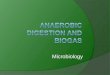 Microbiology. Microbiology of biogas ï‚‍ Anaerobic digestion utilizes a consortium of microbes in four distinct phases ï‚‍ Products of one phase are feedstocks