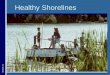 Healthy Shorelines Module 1:1. The Shoreline Area Littoral Riparian Upland Module 1:2