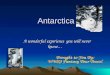 Antarctica A wonderful experience you will never know…