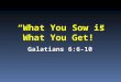 “What You Sow is What You Get!” Galatians 6:6-10