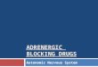 ADRENERGIC BLOCKING DRUGS Autonomic Nervous System