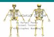 The Skeletal System By Rafael Perez Israel Torres Khristopher Bandong