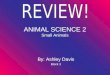 ANIMAL SCIENCE 2 Small Animals By: Ashley Davis Block 3