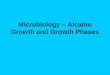 Microbiology – Alcamo Growth and Growth Phases. Growth Human Terms: Growth = Larger Microorganism Terms: Growth = More