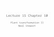 Lecture 15 Chapter 10 Plant transformation II Neal Stewart