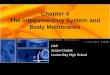 Chapter 4 The Integumentary System and Body Membranes HAP Susan Chabot Lemon Bay High School