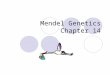 Mendel Genetics Chapter 14. Genetics The study of heredity