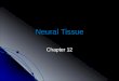 Neural Tissue Chapter 12. I. Overview of the Nervous System A. Provides swift, but brief responses to stimuli B. Consists of: 1. Neural tissue: a. Neurons-