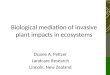 Biological mediation of invasive plant impacts in ecosystems Duane A. Peltzer Landcare Research Lincoln, New Zealand