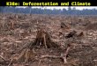 K38e: Deforestation and Climate. Forests Being Cut Faster Than They Can Grow Tropical deforestation, as countries scramble to clear-cut and sell off their