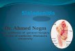 Dr. Ahmed Negm ass. professor of general Surgery Faculty of medicine– Mansoura University
