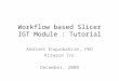 Workflow based Slicer IGT Module : Tutorial Andinet Enquobahrie, PhD Kitware Inc December, 2008