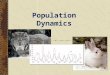 Population Dynamics. describes how pop. Inc or D DD Dec. immigration birth emmigration death