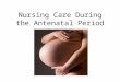 Nursing Care During the Antenatal Period. A & P of Pregnancy Terms to know Gravida Parity Nulliparous Multiparous Term TPAL