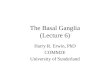 The Basal Ganglia (Lecture 6) Harry R. Erwin, PhD COMM2E University of Sunderland