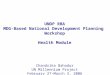 UNDP RBA MDG-Based National Development Planning Workshop Health Module Chandrika Bahadur UN Millennium Project February 27-March 3, 2006