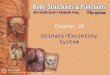 © 2009 Delmar, Cengage Learning Chapter 20 Urinary/Excretory System