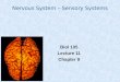 Nervous System – Sensory Systems Biol 105 Lecture 11 Chapter 9