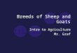 Breeds of Sheep and Goats Intro to Agriculture Mr. Graf