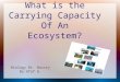 What is the Carrying Capacity Of An Ecosystem? Biology Br. Nassry By:Afaf A