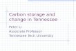 Carbon storage and change in Tennessee Peter Li Associate Professor Tennessee Tech University