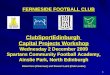 1 FERNIESIDE FOOTBALL CLUB ClubSportEdinburgh Capital Projects Workshop Wednesday 2 December 2009 Spartans Community Football Academy, Ainslie Park, North