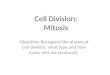 Cell Division: Mitosis Objective: Recognize the phases of cell division, what type and how many cells are produced