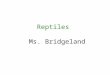 Reptiles Ms. Bridgeland. Introduction to Reptiles