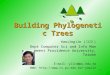 1 Building Phylogenetic Trees Yaw-Ling Lin ( 林耀鈴 ) Dept Computer Sci and Info Management Providence University, Taiwan E-mail: yllin@pu.edu.tw WWW: yawlin