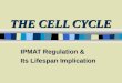 THE CELL CYCLE IPMAT Regulation & Its Lifespan Implication